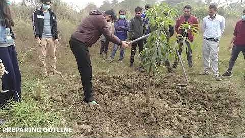 Ring Basin| Manuring & Fertilzing Mango Orchard|IAAS Pallihawa|