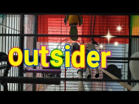 The Outsider 루비 (<strong>ruby</strong>) [연구대상똘이] =설명=
