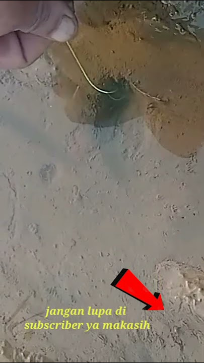 SPOT AIR JERNIH !!! mancing belut sawah