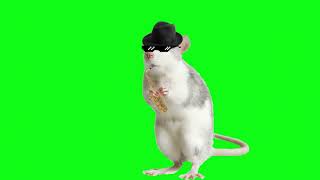 rat playing the saxophone greenscreen