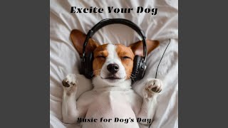 Bark & Bounce Rhythms