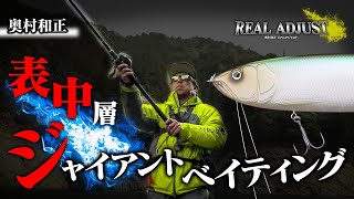 表ー中層ジャイアントベイティング解説 ギラギラコウゲキ タックル解説 Vish 奥村和正リアルアジャスト Youtube 表ー中層ジャイアントベイティング解説 ギラギラコウゲキ タックル解説 Vish 奥村和正リアルアジャスト Youtube