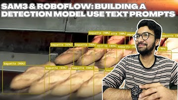 SAM3 & Roboflow: Building a Detection Model Use text prompts
