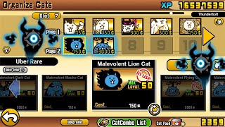 The Battle Cats - Unit Malevolent Lion Cat & Flying Cat!