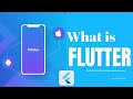 What Flutter is all about