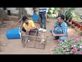 Injured owl rescued by family members