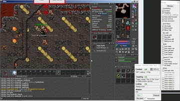 OldBot Tibia bot - Nomad Hunt 100% AFK 4 hours (2X Speed)
