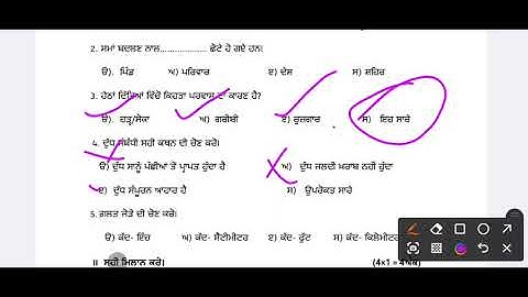 5th class EVS  paper 2025||5th class EVS July 2025 paper Full solution||EVS Paper 5th class