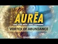 Selfgenerating money vortex     experience unlimited abundance 