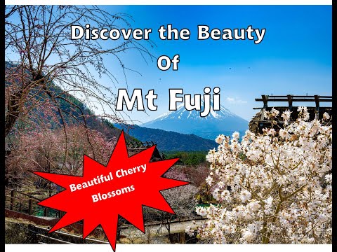 Uncover The Stunning Beauty Of Mt. Fuji In Japan
