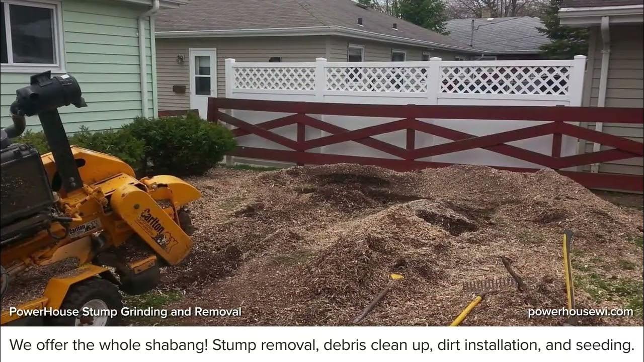 PowerHouse Stump Grinding and Removal Appleton Wisconsin 54915 YouTube