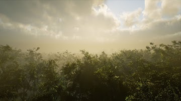 Trees Vol. 4 - Wind Demo 3 - Unreal Engine 4.26 (4K)
