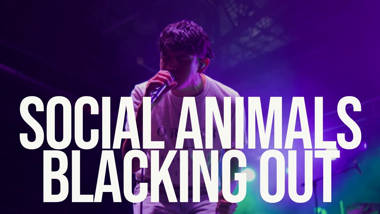Social Animals - Blacking Out - Live from Fine Line Minneapolis