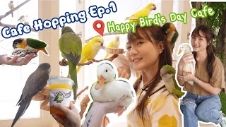 Cafe Hopping Ep.1 @Happy Bird's Day Cafe | คาเฟ่นกเอกมัย | Chabie Bird