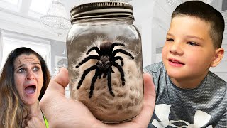 TARANTULA in the HOUSE! BUG CATCHING with Caleb! Playing with SPIDERS, SNAKES and GIANT TARANTULAS!