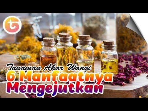 Video: Halia - Sifat Bermanfaat Akar Wangi