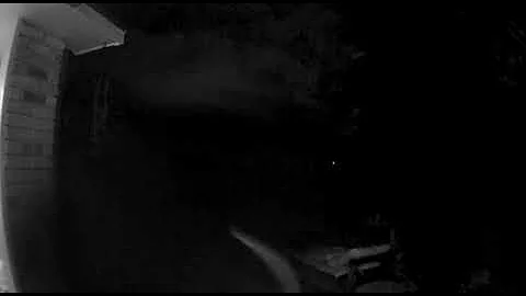 Ghost Video
