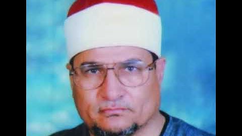 الشيخ محمد عبدالوهاب الطنطاوي سورة آل عمران