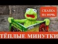 Лягушонок Нок знакомится с буквами