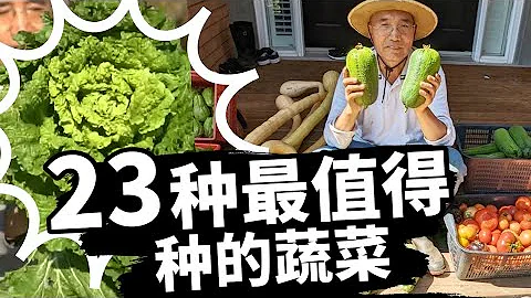 三月四月種什麼？別再煩惱，給您推薦全年最值得種的23種蔬菜, 葉菜30多天即可收穫 - 天天要聞