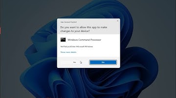 Fix IW4x Fatal Error 0xC0000005 on Windows