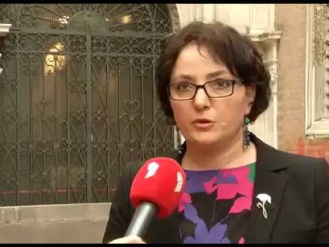 ვენეციის კომისიის სხდომის შესახებ