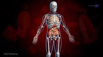 Astronauts to Begin Sequencing DNA in Space | Video