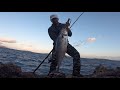 shore jigging on the rocks and crazy sea 6.bft. albacore fishing tuna