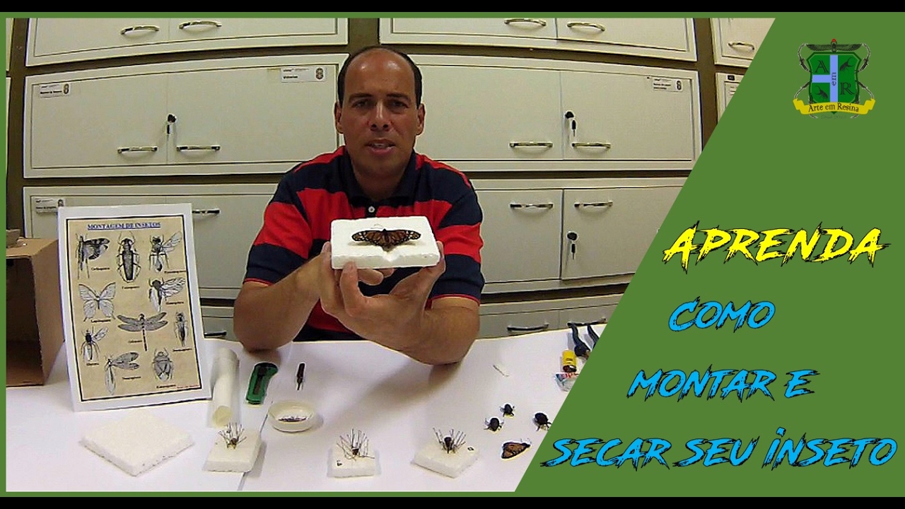 Montagem e Secagem de Insetos para Incrustação em Resina - Arte em Resina