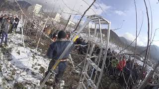 20200117長野県果樹研究会1338~JM2半わい化剪定交流会 永野氏剪定