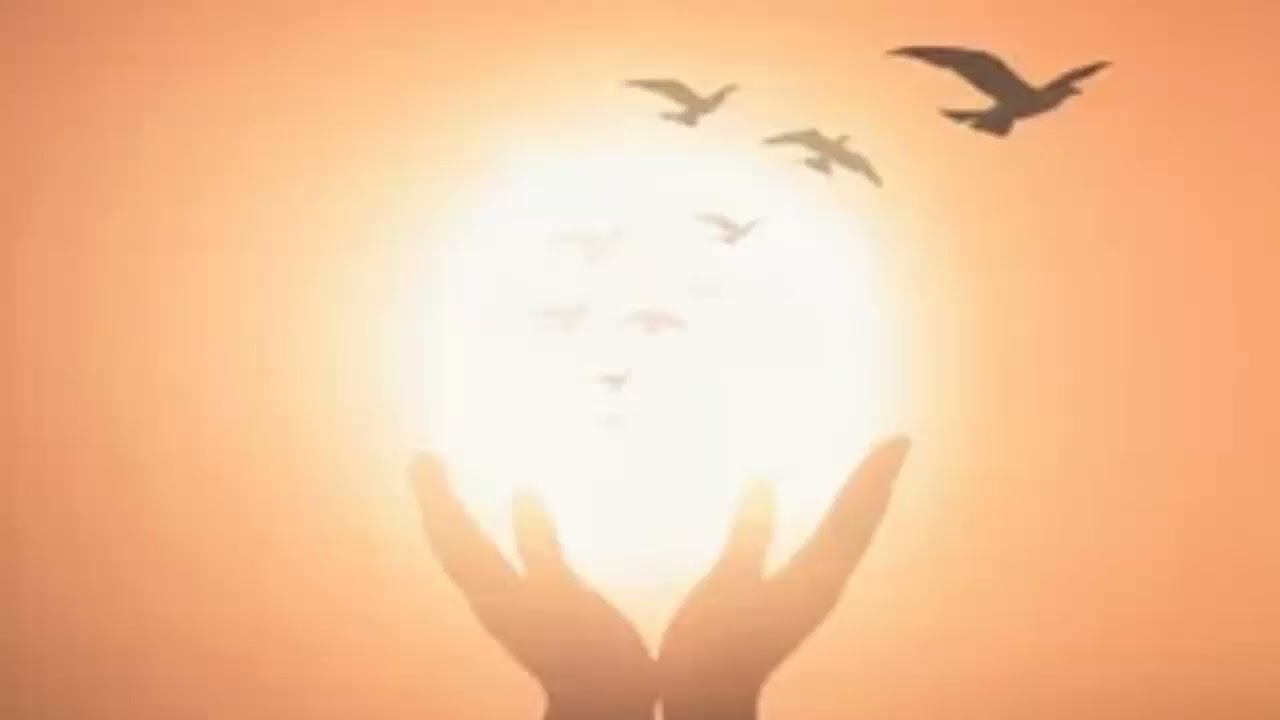 15 SIGNS YOU’RE IN LOVE WITH AN OLD SOUL