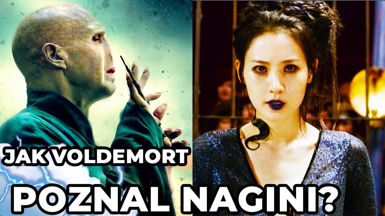 Jak Voldemort potkal nagini?
