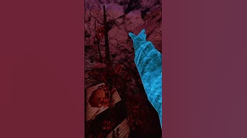 Shouting out my last 5 subscribers P3! #gorillatag