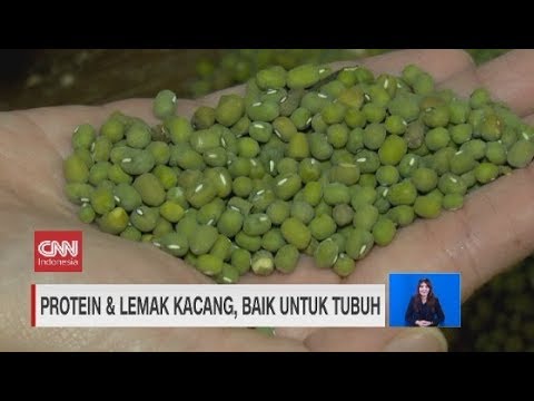 Video: Komposisi Kimia Kacang Penuh