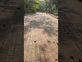 #morningwalk
