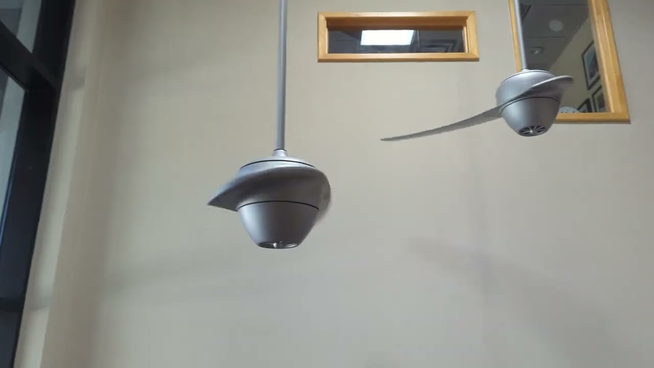 fanimation group trip