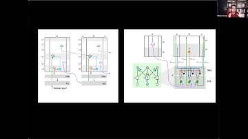 Talk: A detailed computational model of thalamic and cortical microcircuits based on inference in a…