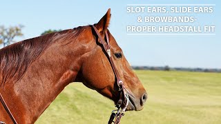 Slot Ears, Slide Ears &amp; Browbands-Proper Headstall Fit