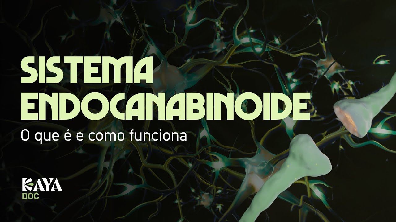 Sistema Endocanabinoide: o que é, como funciona e por que todo prescritor precisa entender
