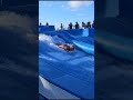 DUO ACUARELA EN EL FLOW RIDER DEL CRUCERO FREEDOM OF THE SEAS ROYAL CARIBBEAN(1)