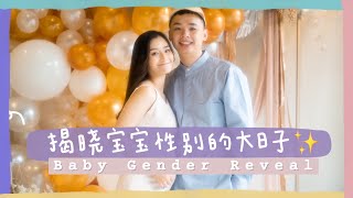 宝宝性别揭晓的大日子！Baby Gender Reveal！