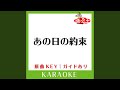 あの日の約束 (カラオケ) (原曲歌手:菅原紗由理)