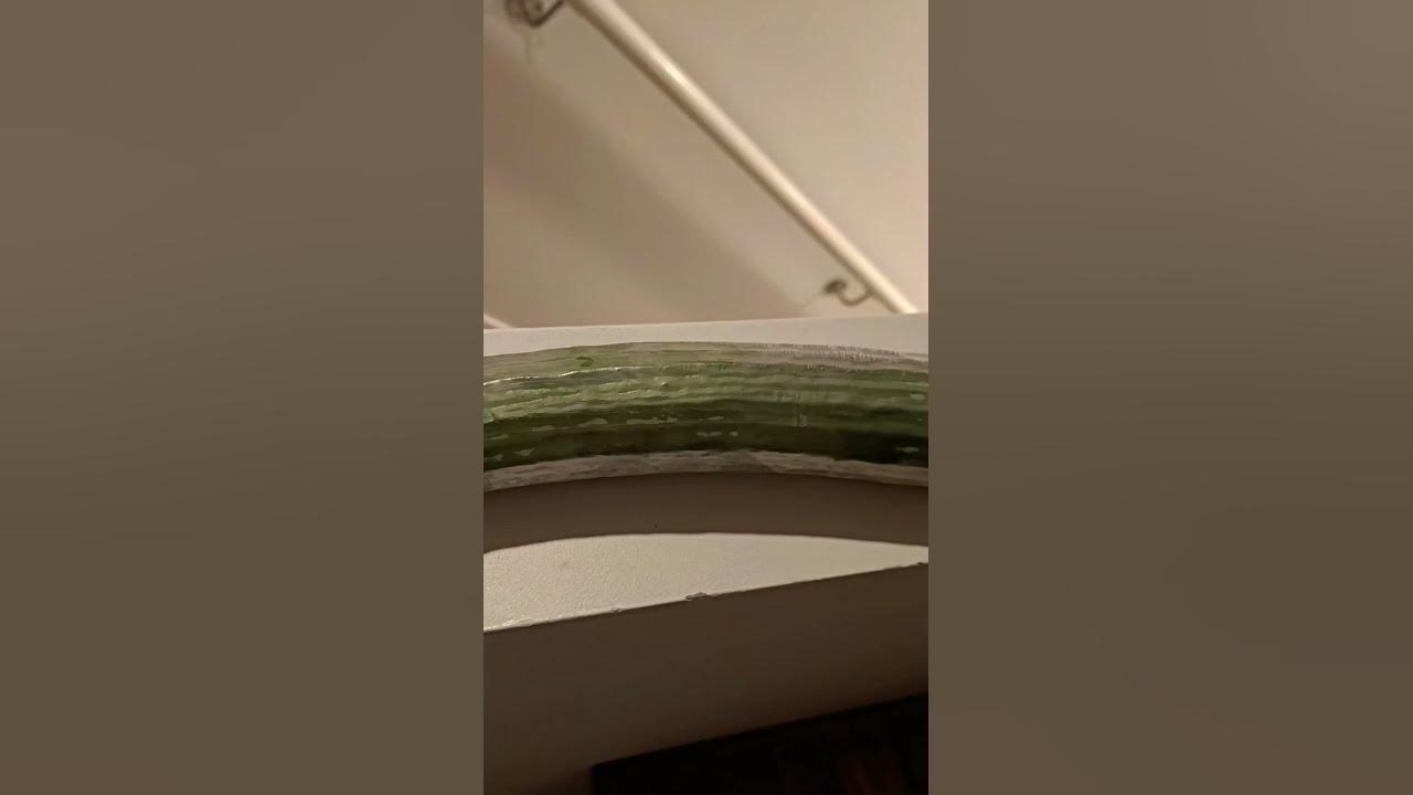 Новая Зеландия 🇳🇿, Окленд - огурцы гиганты 🥒. - YouTube