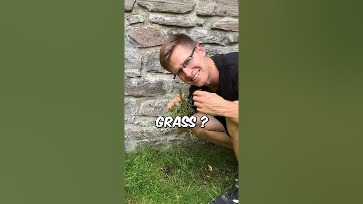 Grass Vs Wall Climb 😬