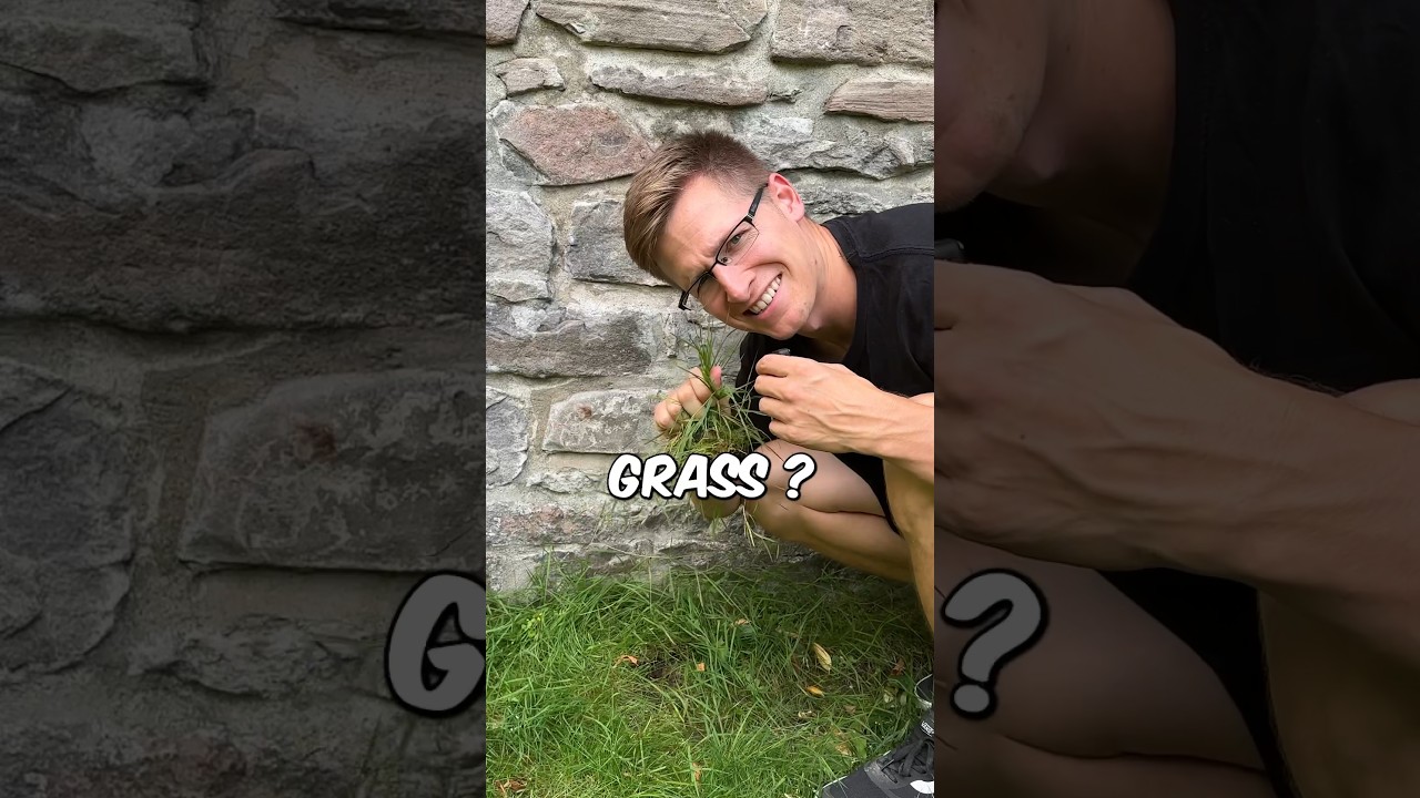 Grass Vs Wall Climb ?