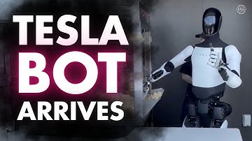 Tesla Optimus AI Robots Work at New Diner as SHOCKING Viral Unitree Malfunction Video Raises Alarms