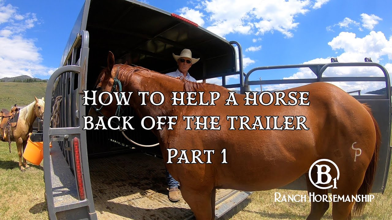 How To Help a Horse Back Off The Trailer Part 1 Preview