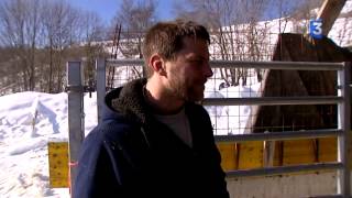 SIA 2015 : Un élevage d'Angus en Isère