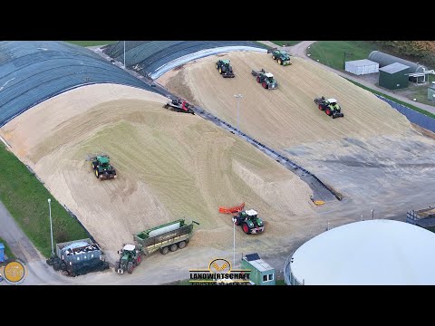 Was meint ihr wie Hoch wird dieser Berg noch? 7 Traktoren Bauen Mais Hochhaus in BGA Blumendorf  