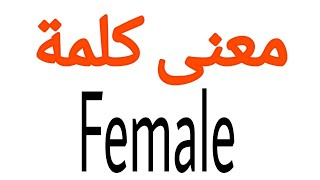 معنى كلمة Female | الصحيح لكلمة Female | المعنى العربي ل Female | كيف تكتب كلمة Female | كلام إنجل
